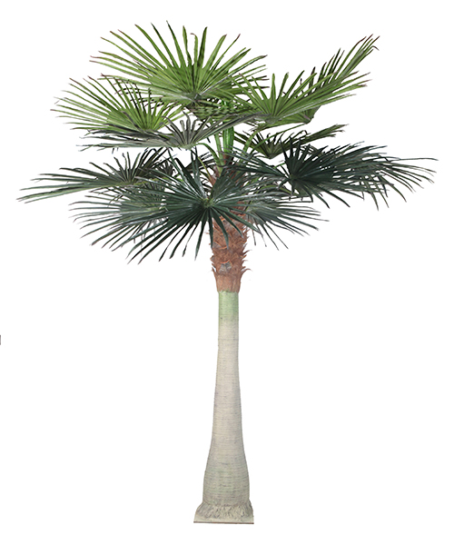 Big palm Kwai Y8327-15-1L